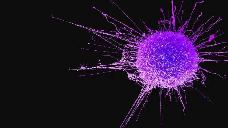 cancer-cell